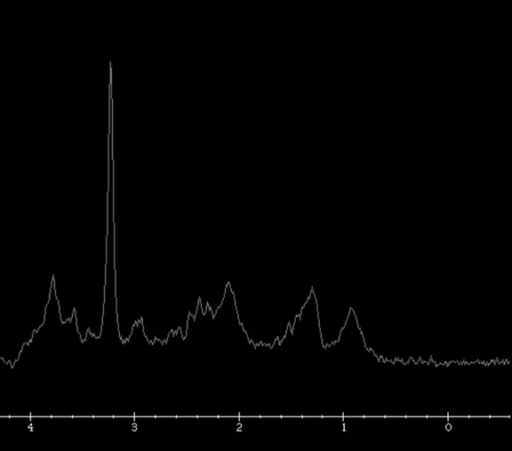 image4 copy Fig 6B.jpg