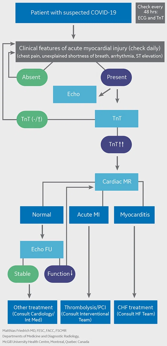 IS_Cardiac_Figure_3_Image_A.jpg